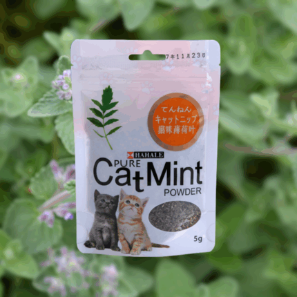 Pure Cat Mint™ (Catnip) | مسحوق نعناع القطط العضوي «كات نيب» 5 جم – ينشّط القطط ويقلّل التوتر